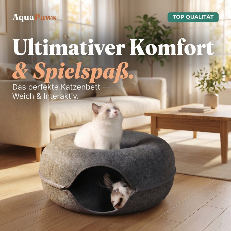 Katze im AquaPaws Donut